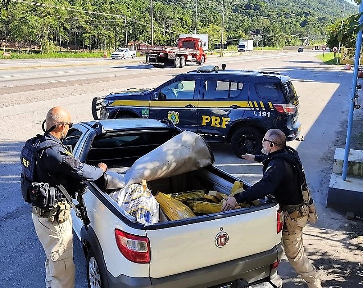 Homem tenta usar farinha para esconder 300 kg de maconha e acaba preso em SC