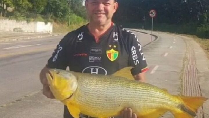 Vídeo: homem pesca dourado de 10 kg em rio de SC