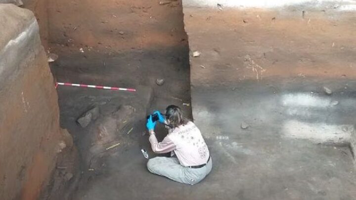 Fóssil humano inteiro é encontrado no Brasil e pode ter quase 12 mil anos