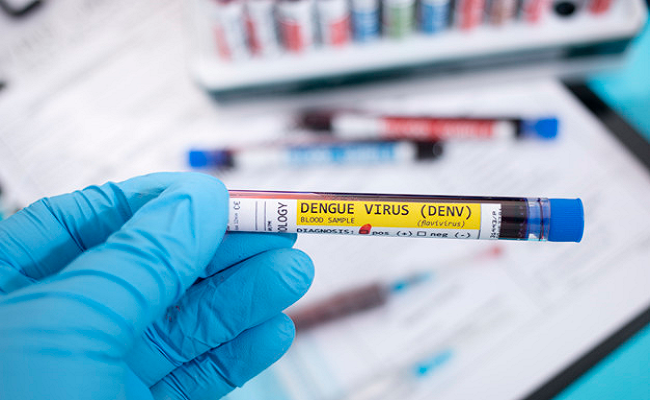 Secretaria da Saúde confirma mais de 50 mil casos de dengue em SC