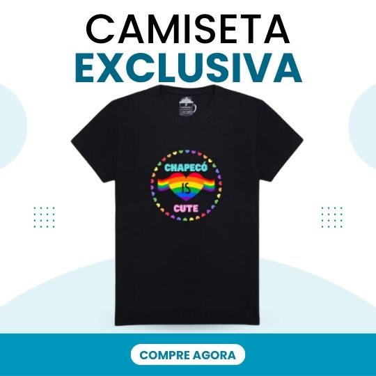 camisetas chapeco