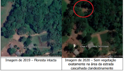 Denunciado pelo MPSC por destruir floresta de preservação permanente é condenado em Chapecó