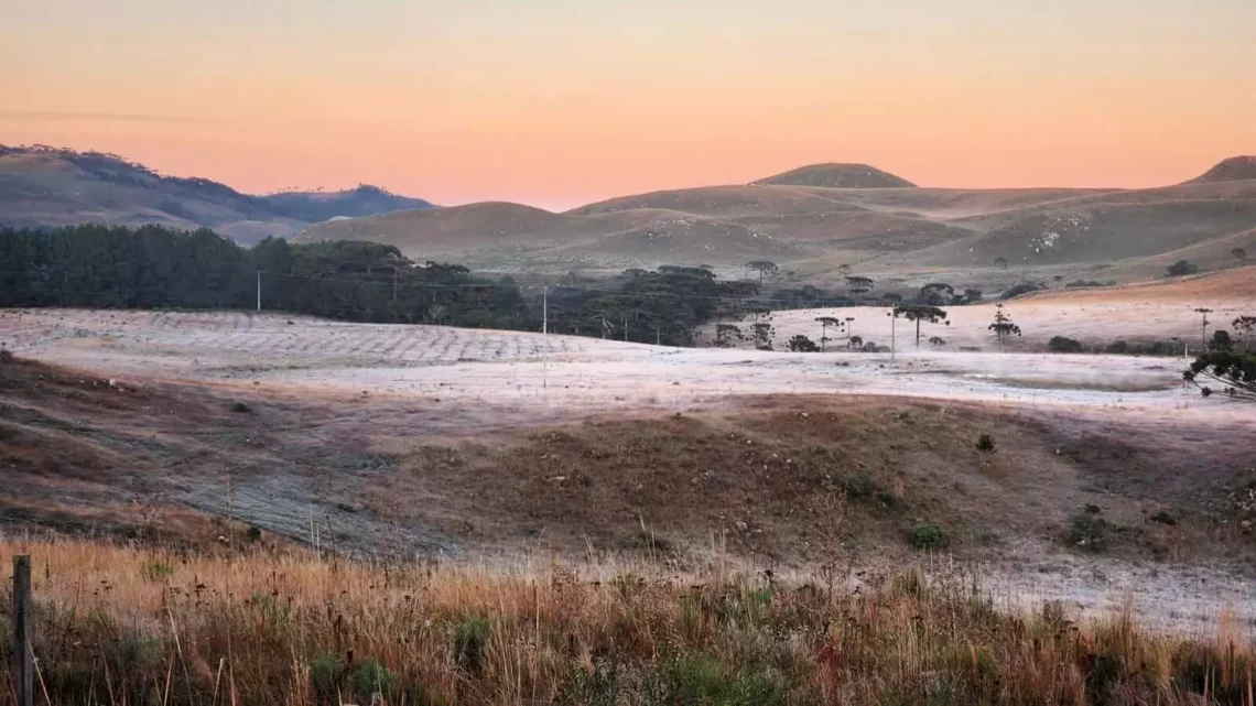 Serra de SC amanhece com campos cobertos por geada e temperaturas negativas
