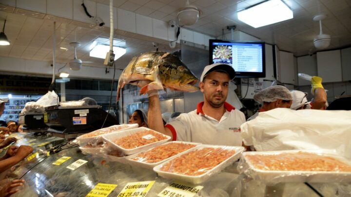 Peixes em seis estados têm contaminação por mercúrio; veja quais