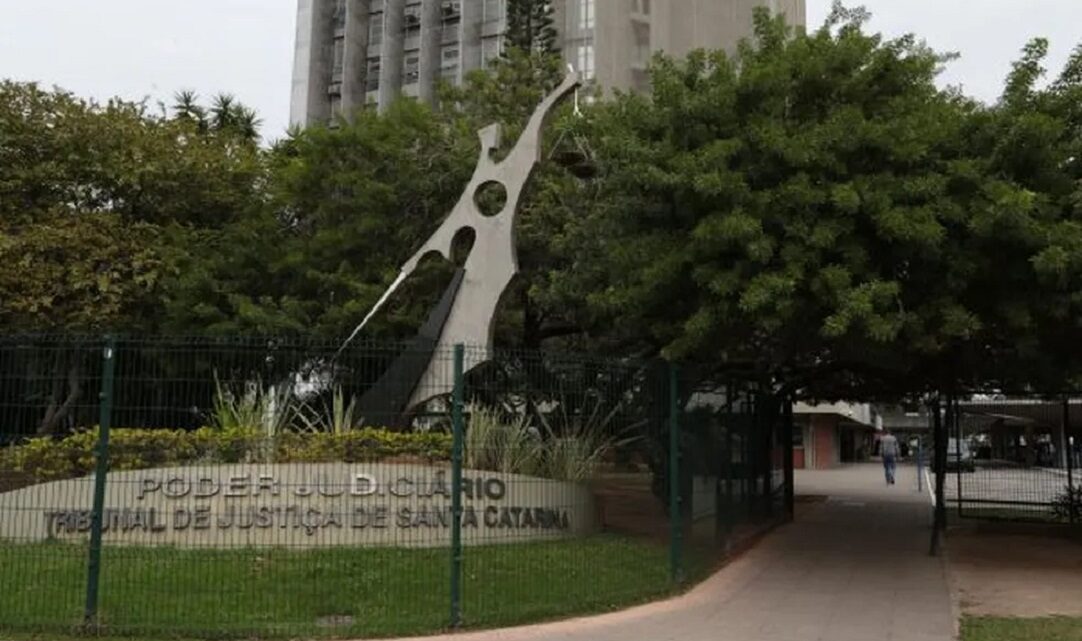 Mulher é condenada após pendurar cachorro em árvore pelo pescoço em SC Mulher é condenada após pendurar cachorro em árvore pelo pescoço em SC