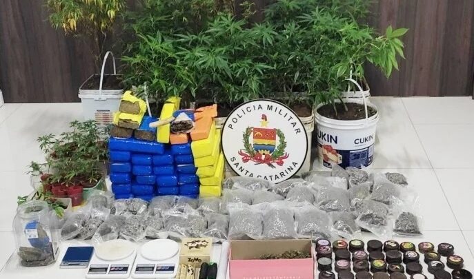 Polícia Militar estoura local que servia como cultivo de drogas