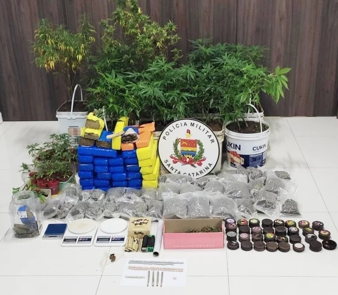 Polícia Militar estoura local que servia como cultivo de drogas