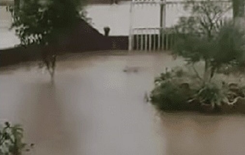 Ciclone causa alagamentos e inundações no Sul Catarinense; veja imagens