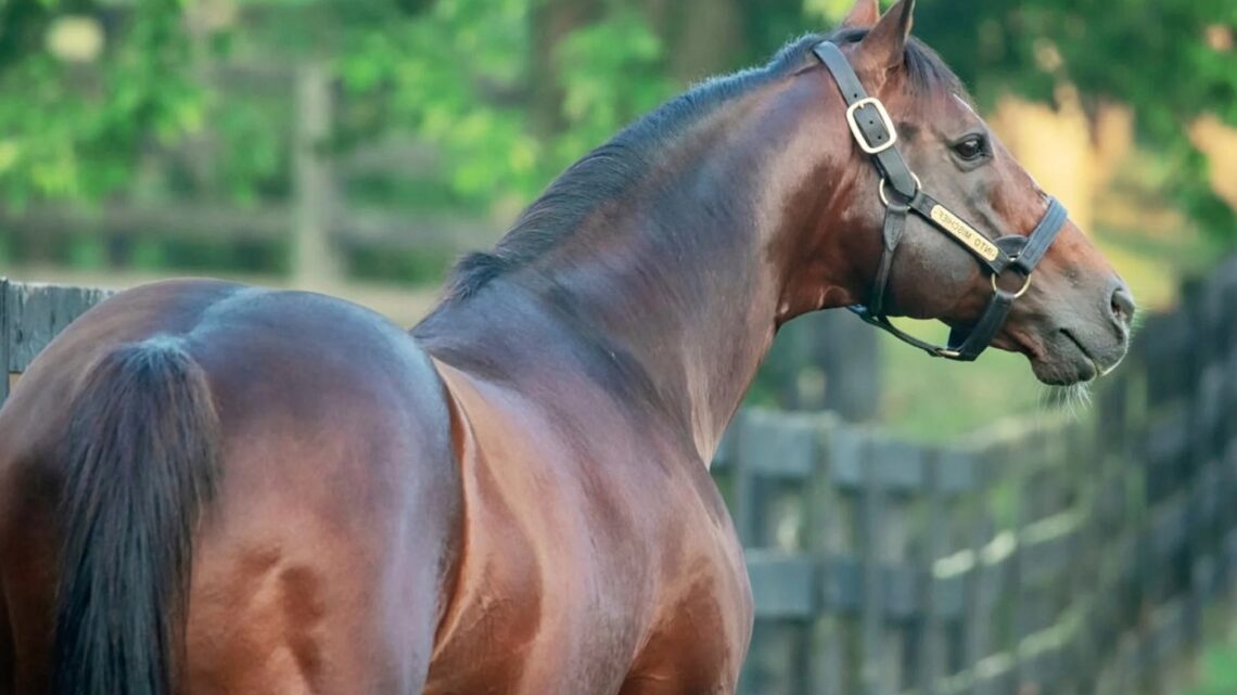 Homem é baleado enquanto assistia corrida de cavalos em Chapecó