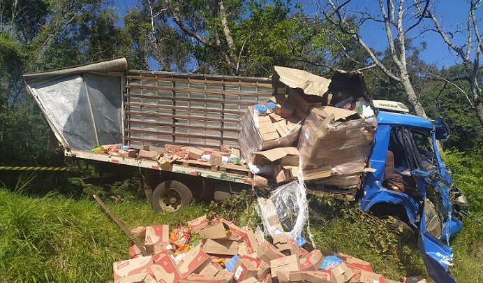 Caminhão com placas de Chapecó sai da pista e acaba colidindo em árvore na SC 283 em Palmitos