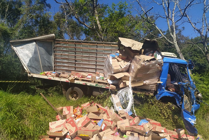 Caminhão com placas de Chapecó sai da pista e acaba colidindo em árvore na SC 283 em Palmitos