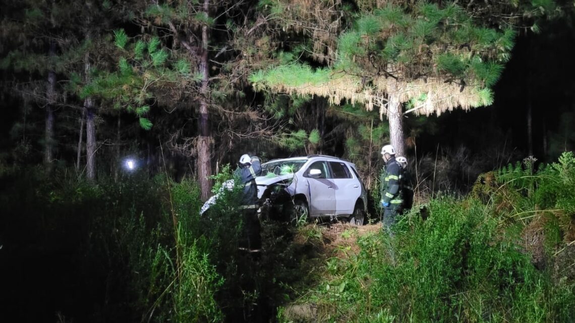 Carro atropela capivaras, cai em ribanceira e deixa três pessoas feridas na BR-282