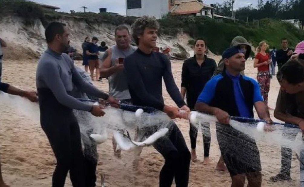 Guga Kuerten ajuda na pesca de tainha e vídeo viraliza: “olha aqui, o Guga”