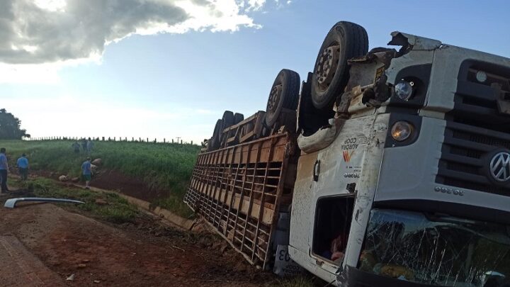 Caminhão carregado de suínos tomba após colidir com micro-ônibus e caminhão na BR-282