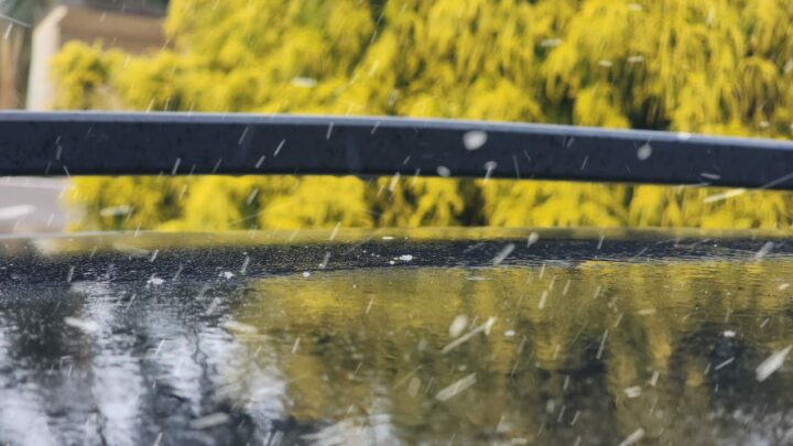 Primeiros flocos de neve caem em São Joaquim; veja imagens