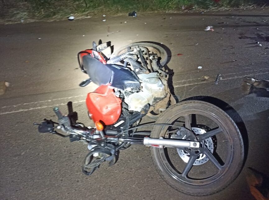 Motociclista fica gravemente ferido após atropelar cavalo na SC-480