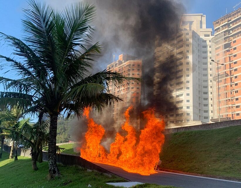 Imagens: carro cai de marginal da BR-101 e pega fogo em SC