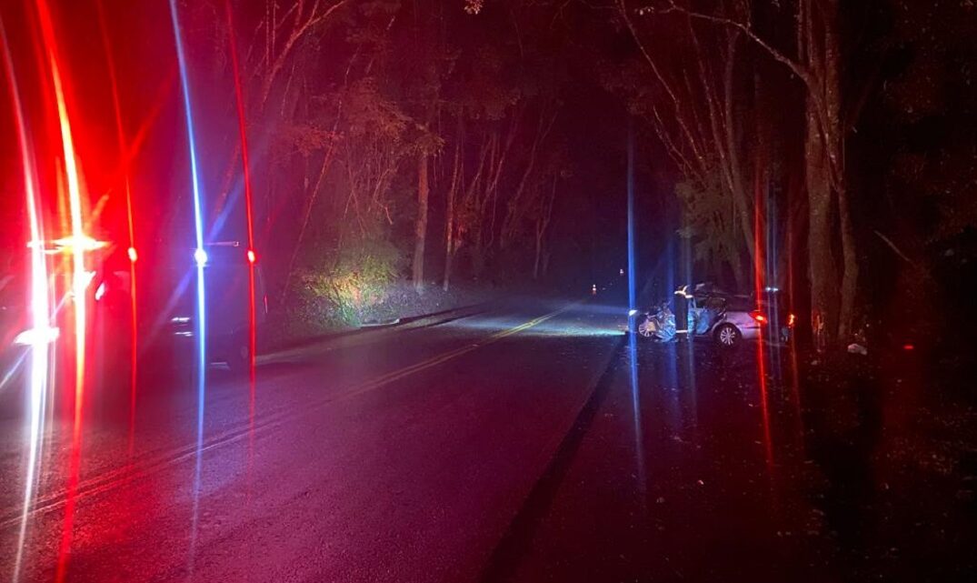 Homem morre após bater carro contra árvore em Ibicaré