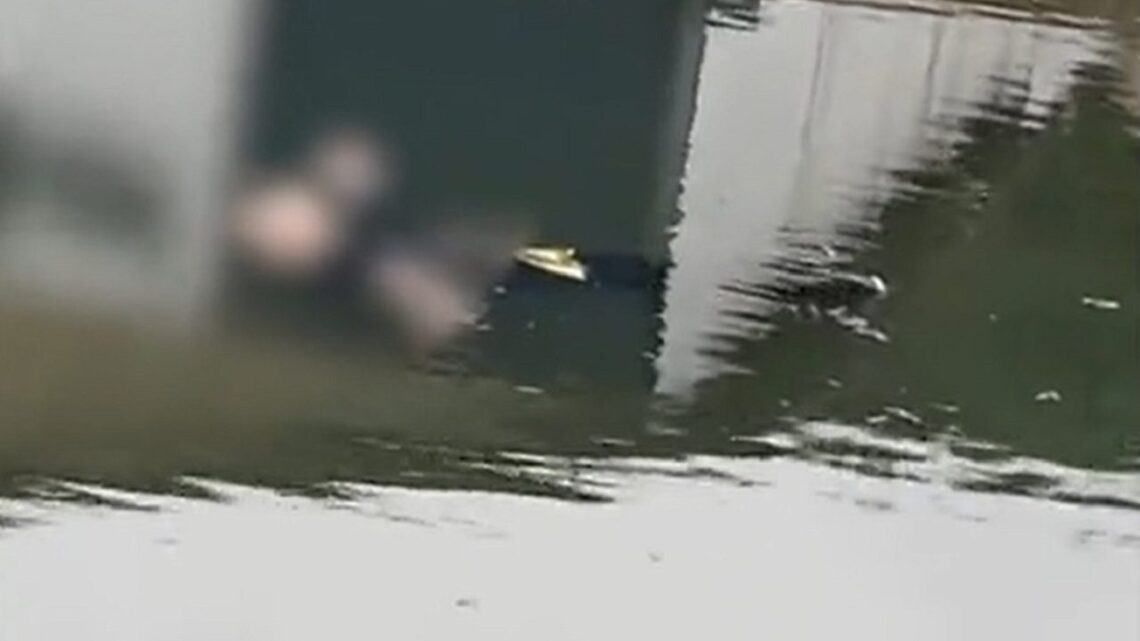 Vídeo: Senhora é resgatada boiando em rio de SC; imagem é impressionante