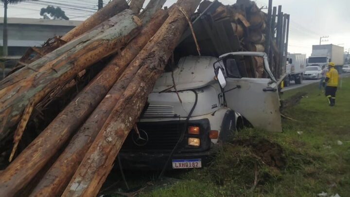 Motorista morre esmagado por toras de madeira na BR-470