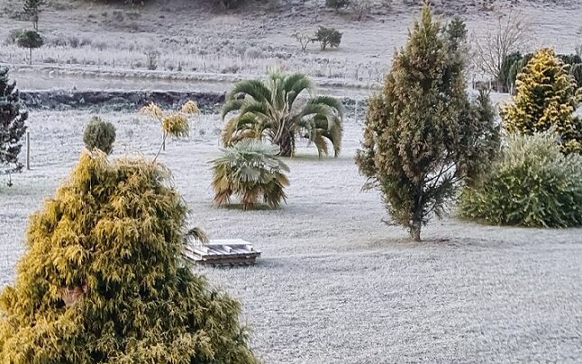 Com frio de -3ºC, geada muda paisagem na Serra Catarinense; veja imagens