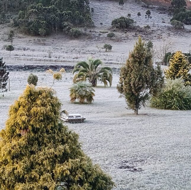 Com frio de -3ºC, geada muda paisagem na Serra Catarinense; veja imagens