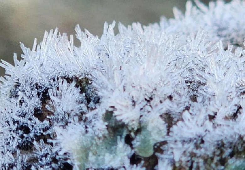 Imagens: paisagens da Serra Catarinense amanhecem congeladas