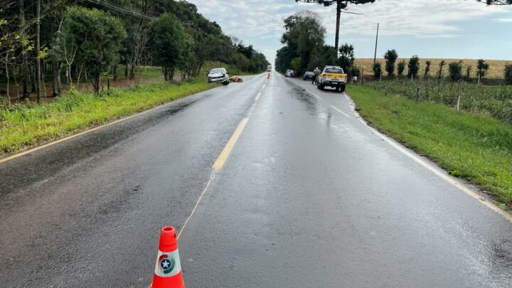 Vídeo: cavalo é atropelado na SC 283 em Guatambu