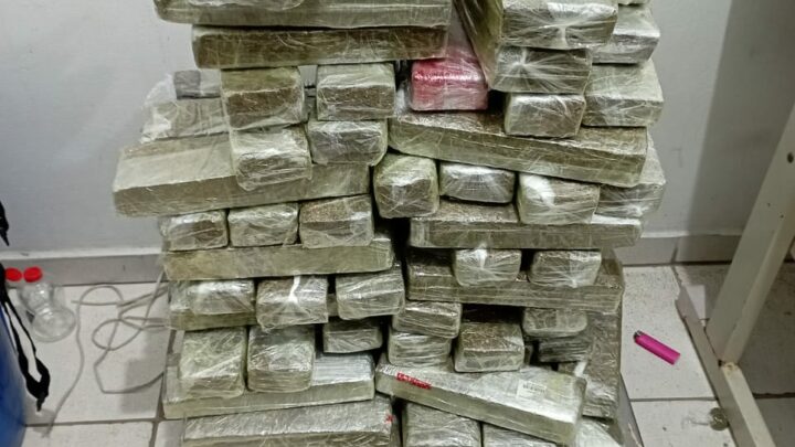 Festa termina com prisão de quatro pessoas e 50kg de maconha em SC