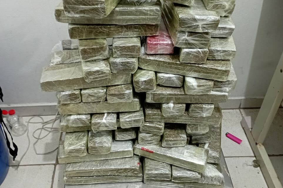 Festa termina com prisão de quatro pessoas e 50kg de maconha em SC