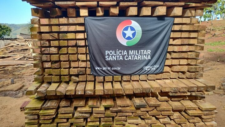 Polícia Militar Ambiental apreende lenha proveniente de espécies nativas em Chapecó