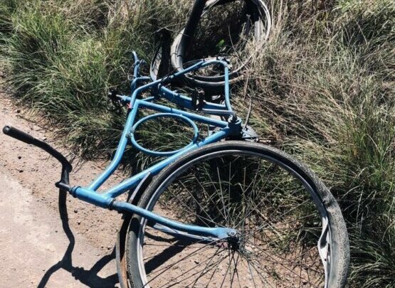 Ciclista é atropelado e morre na BR 282 em Campos Novos