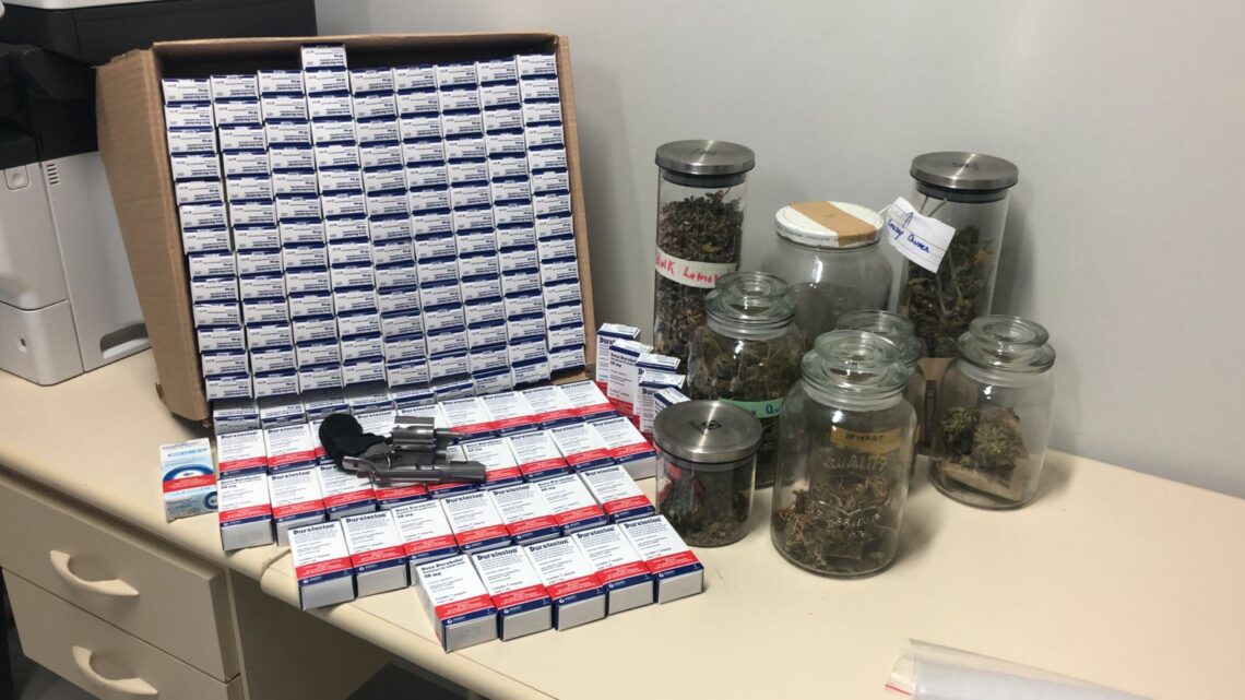 Polícia fecha laboratório de drogas e apreende 29 pés de maconha em Jaraguá do Sul