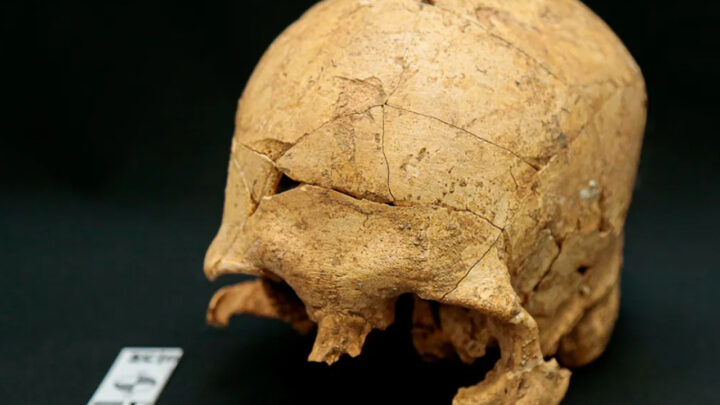 Esqueleto humano de 10 mil anos é encontrado no Brasil; descoberta pode mudar o caminho das pesquisas