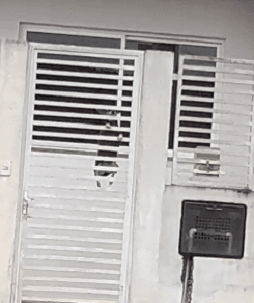 “Doguinho-aranha” é flagrado escalando portão de casa em Chapecó; veja imagens