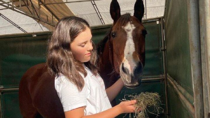 Menina que caiu de cavalo e sofreu traumatismo craniano morre em SC