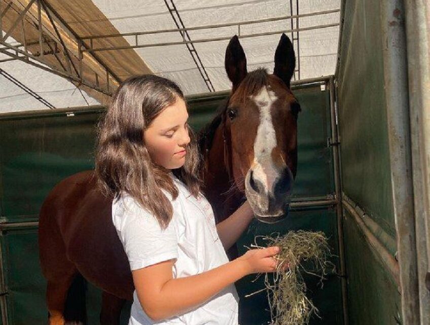 Menina que caiu de cavalo e sofreu traumatismo craniano morre em SC