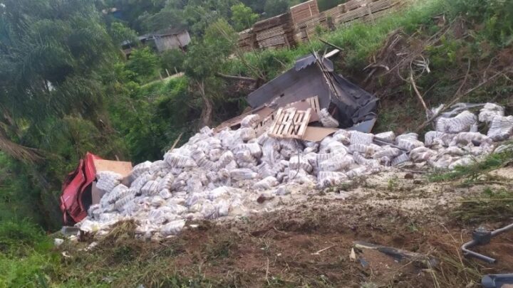 Caminhão carregado de arroz tomba em barranco após sair da pista na BR-282