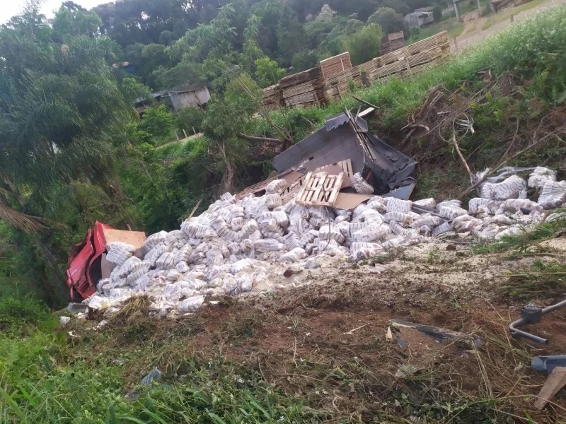 Caminhão carregado de arroz tomba em barranco após sair da pista na BR-282