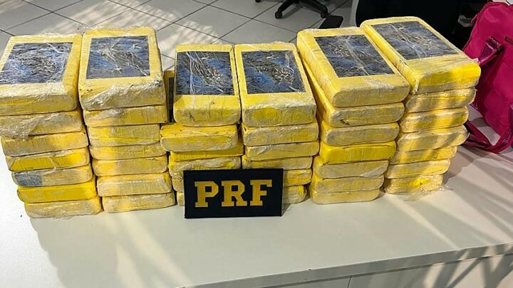 Mulheres são flagradas com carga milionária de cocaína na BR-282 em SC