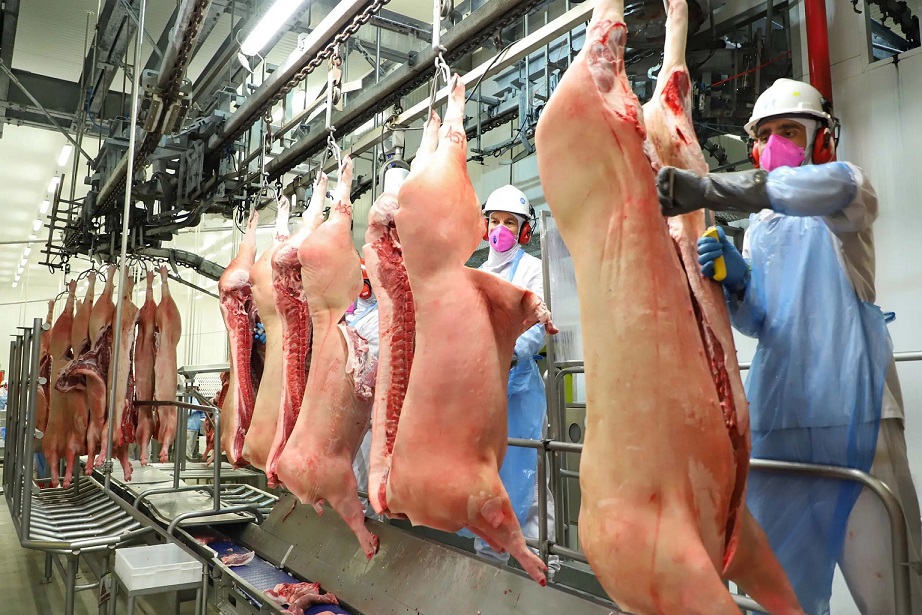Brasil bate recorde de exportações de carne suína