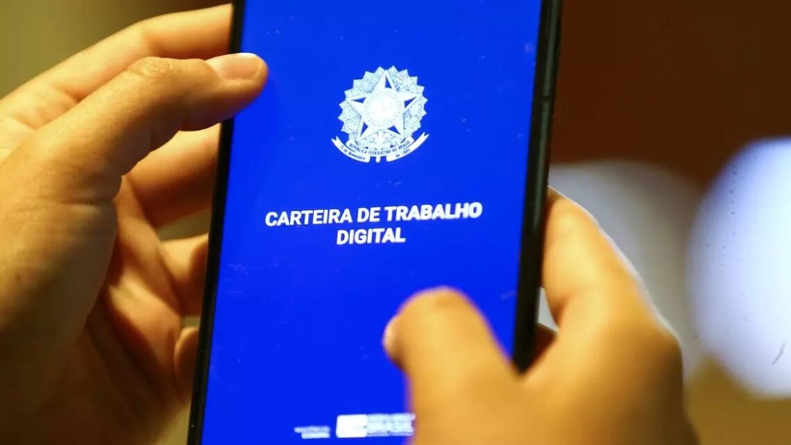 Santa Catarina tem a maior taxa de trabalhadores com carteira assinada do país