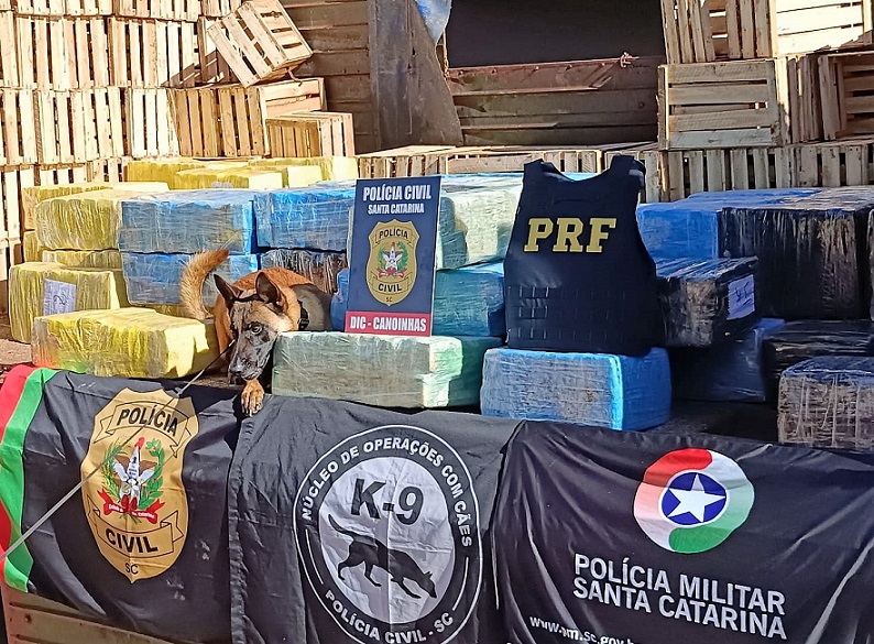 Vídeo: paraguaio é preso com quase duas toneladas de maconha na BR-280 em Canoinhas