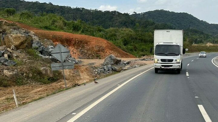 PRF reúne filhos perdidos e salva família às margens de rodovia