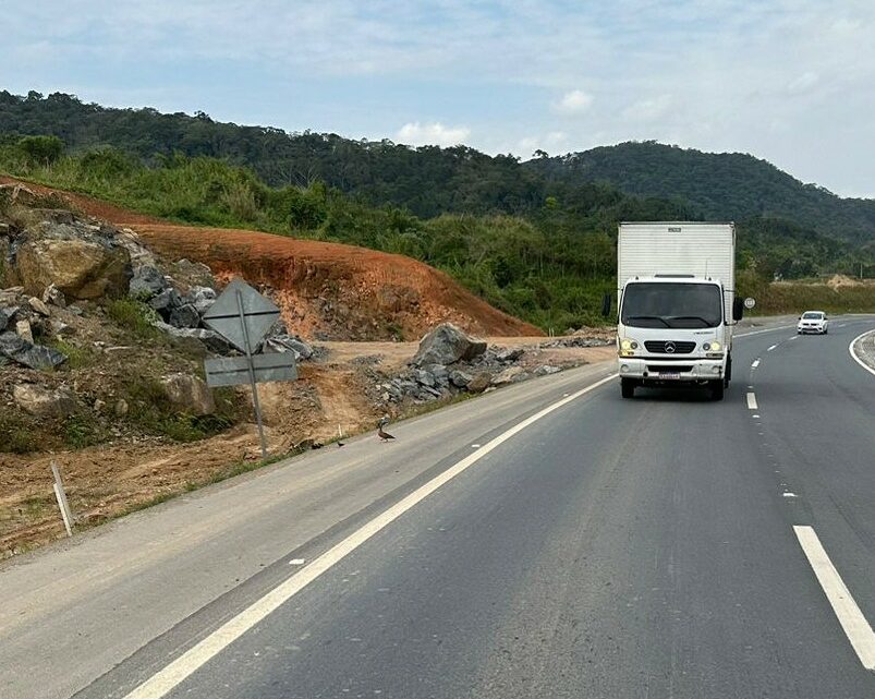 PRF reúne filhos perdidos e salva família às margens de rodovia