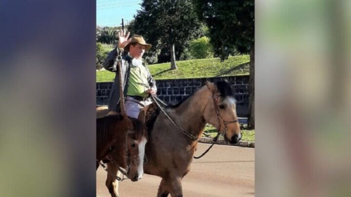 Homem morre após eucalipto cair sobre carro no oeste de SC