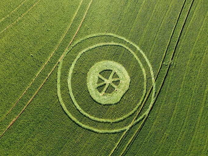 Imagens: agroglifos voltam a intrigar moradores em cidade do oeste