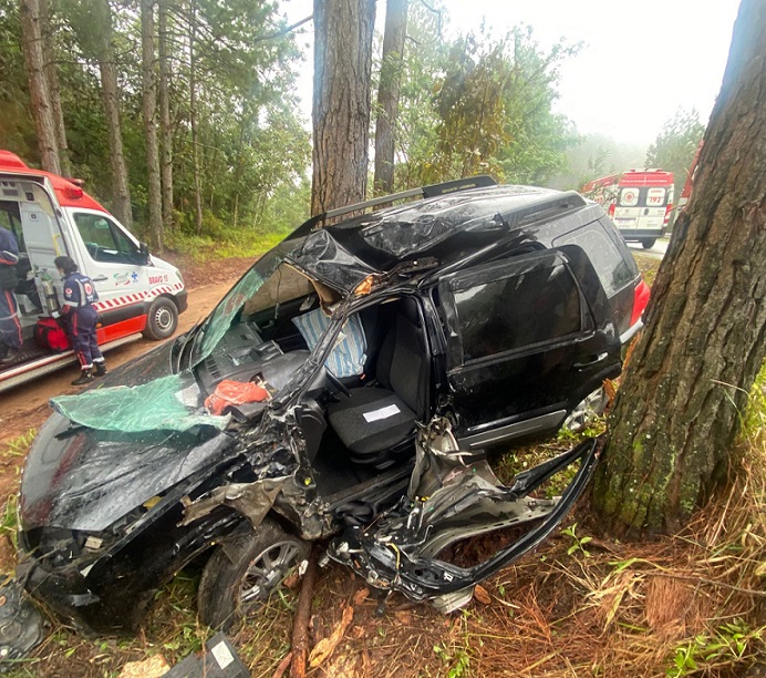 Dois ficam presos nas ferragens após colisão de carro contra árvore na BR-282