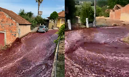 Rio de vinho toma ruas de cidade em Portugal; veja vídeo