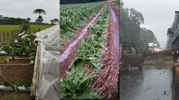 Vídeo: temporal com chuva forte e queda de granizo deixa estragos em cidades de SC